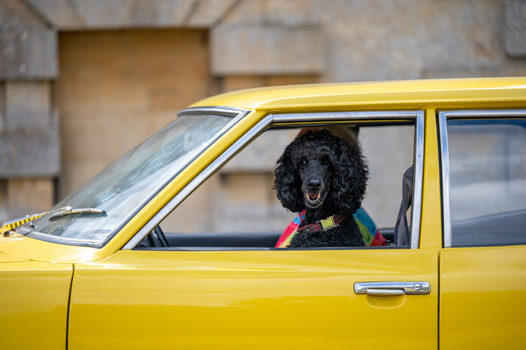 Hagerty Festival of the Unexceptional